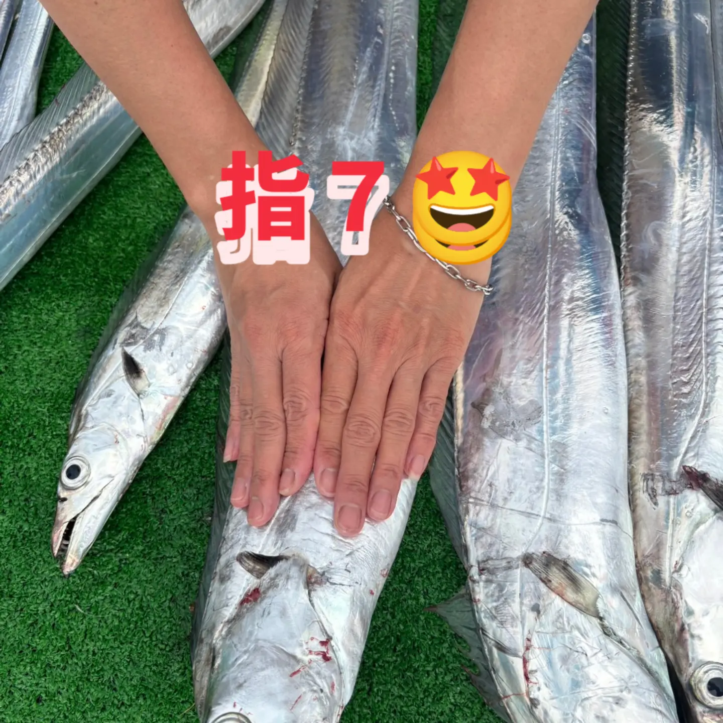 ドラゴンサイズも👍✨