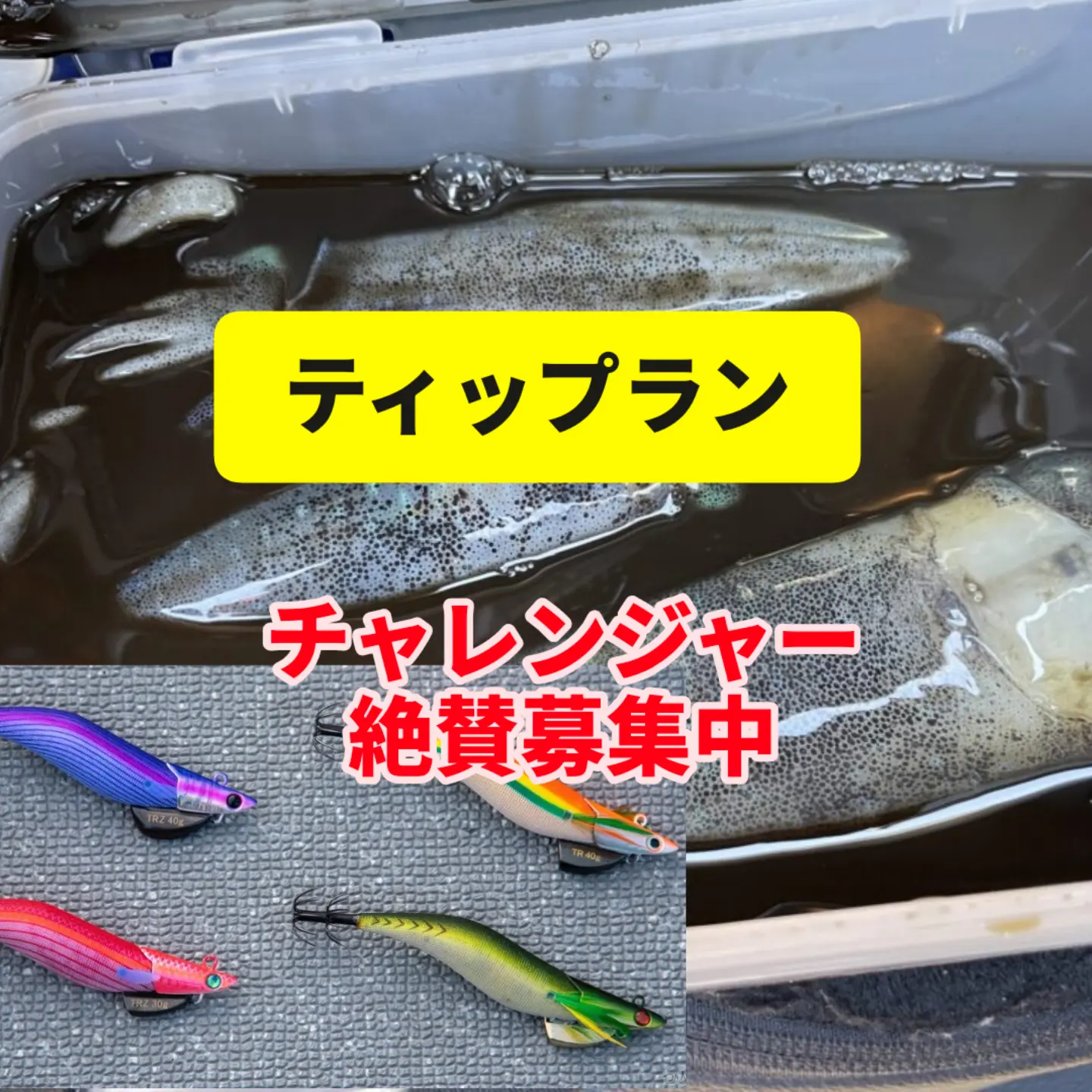 休船です