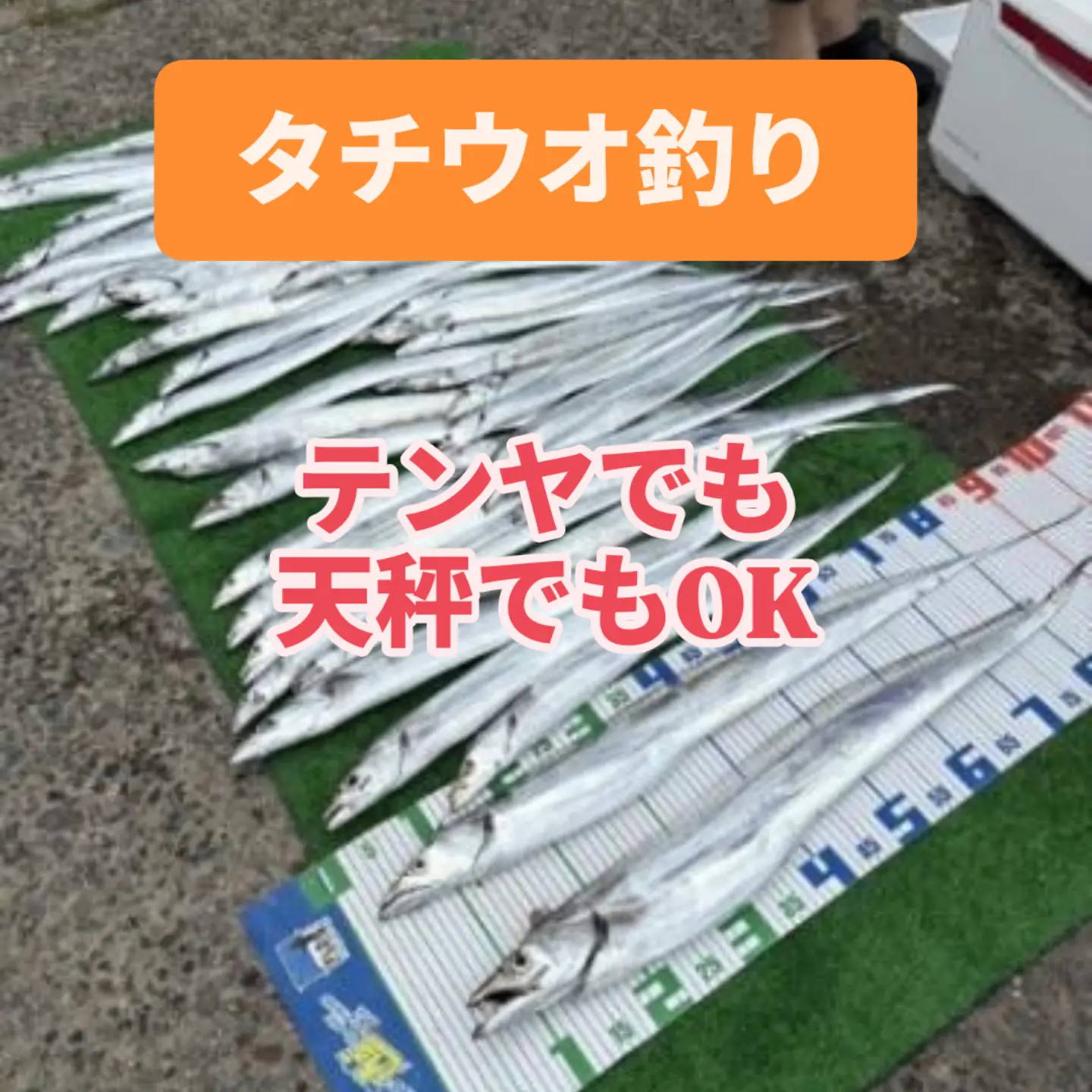 休船です