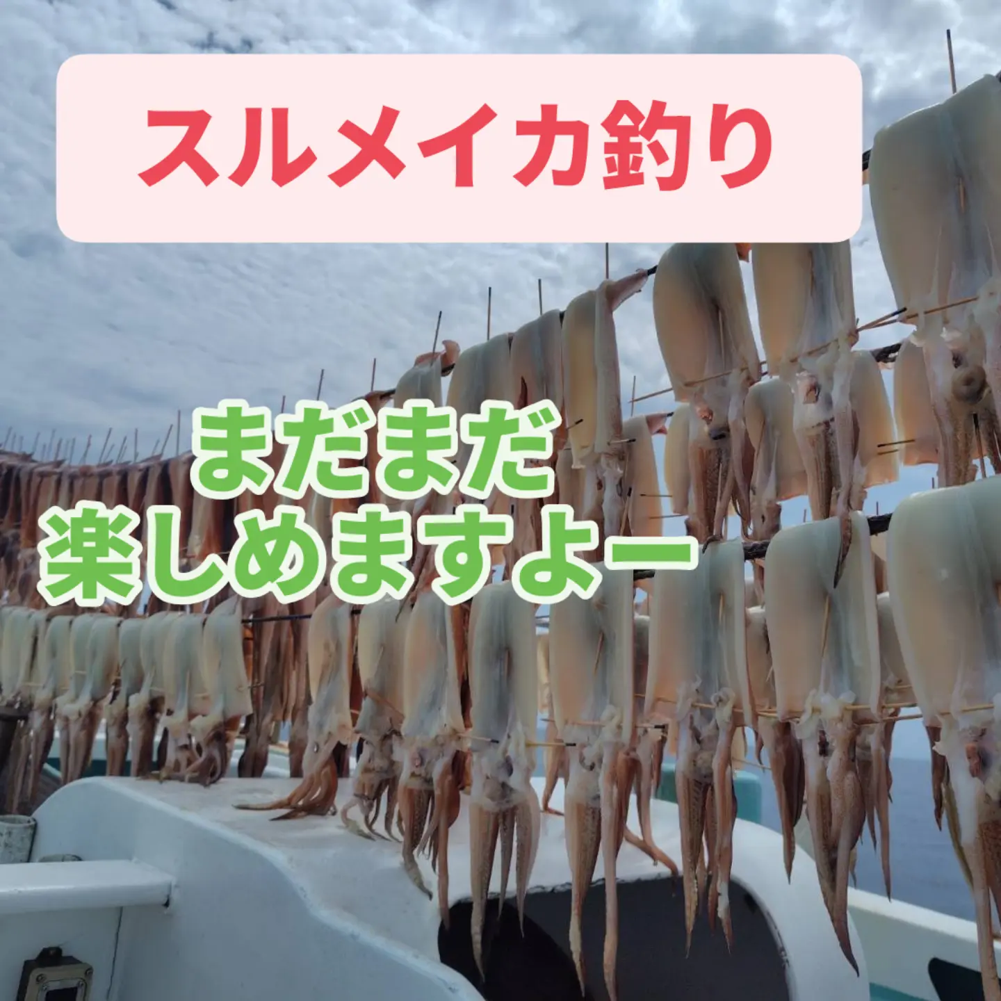 休船です