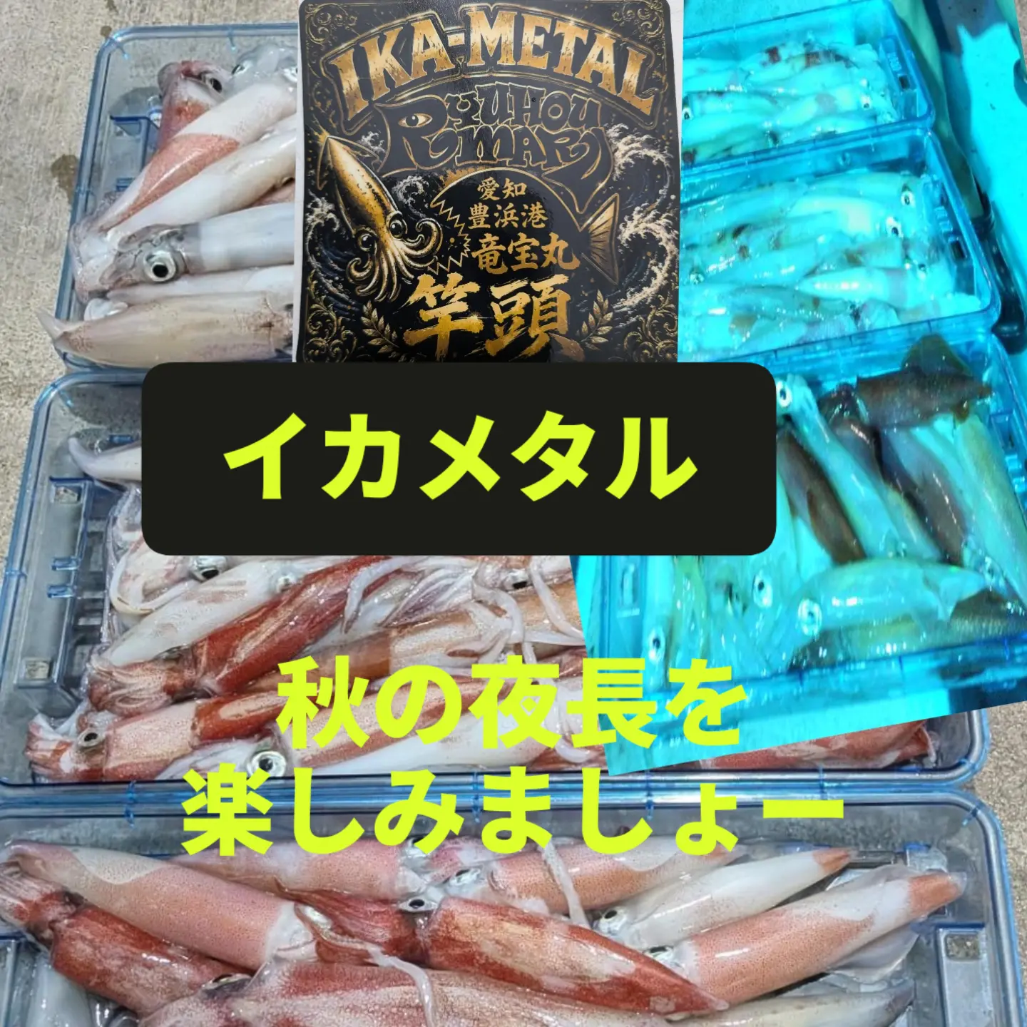 休船です