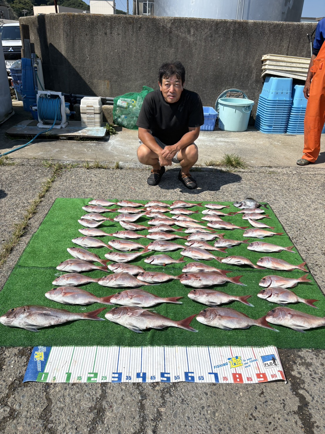 ウタセマダイスタートしました
