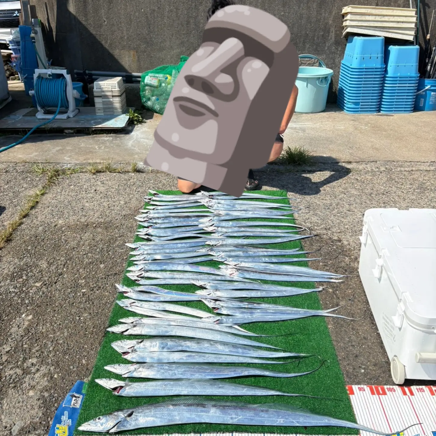 大漁でした👍