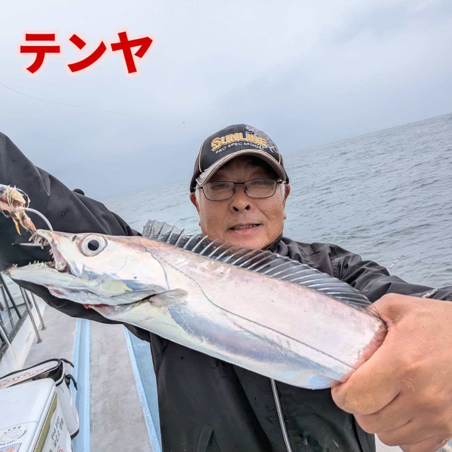 本日もデカタチ