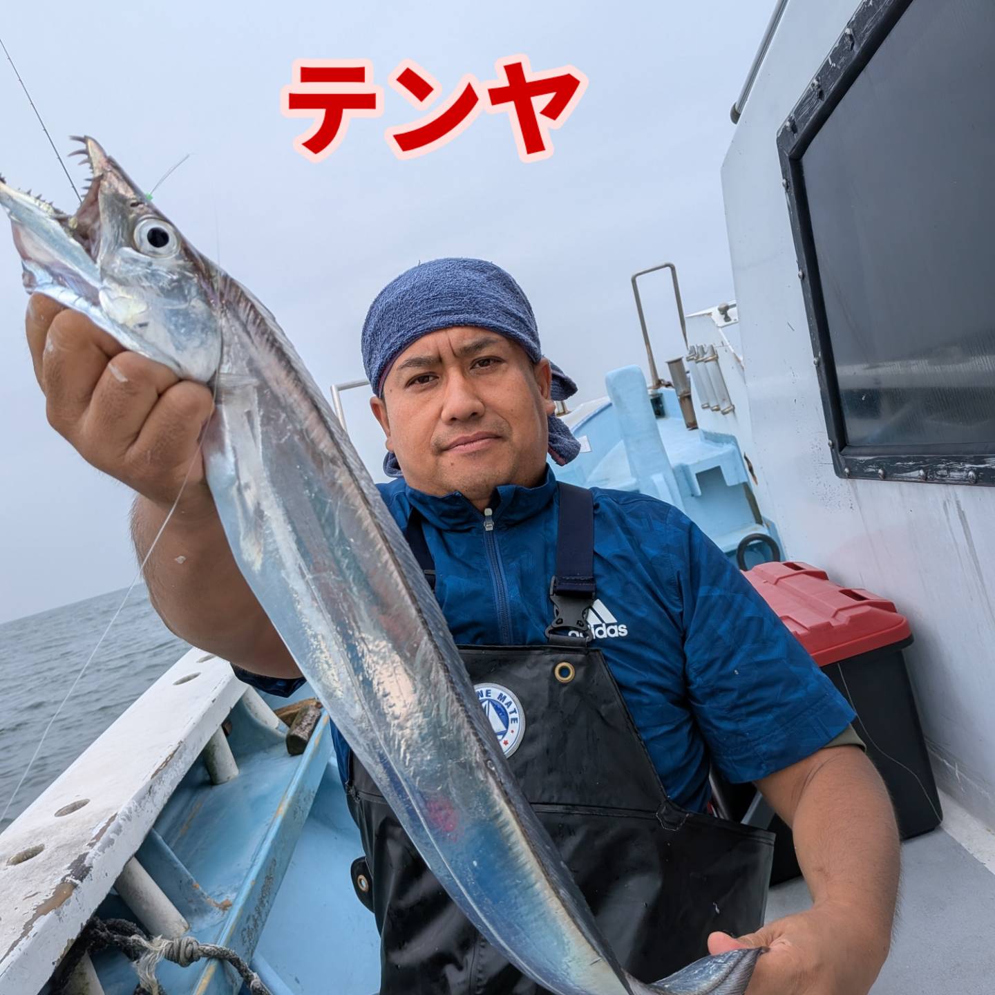 本日もデカタチ