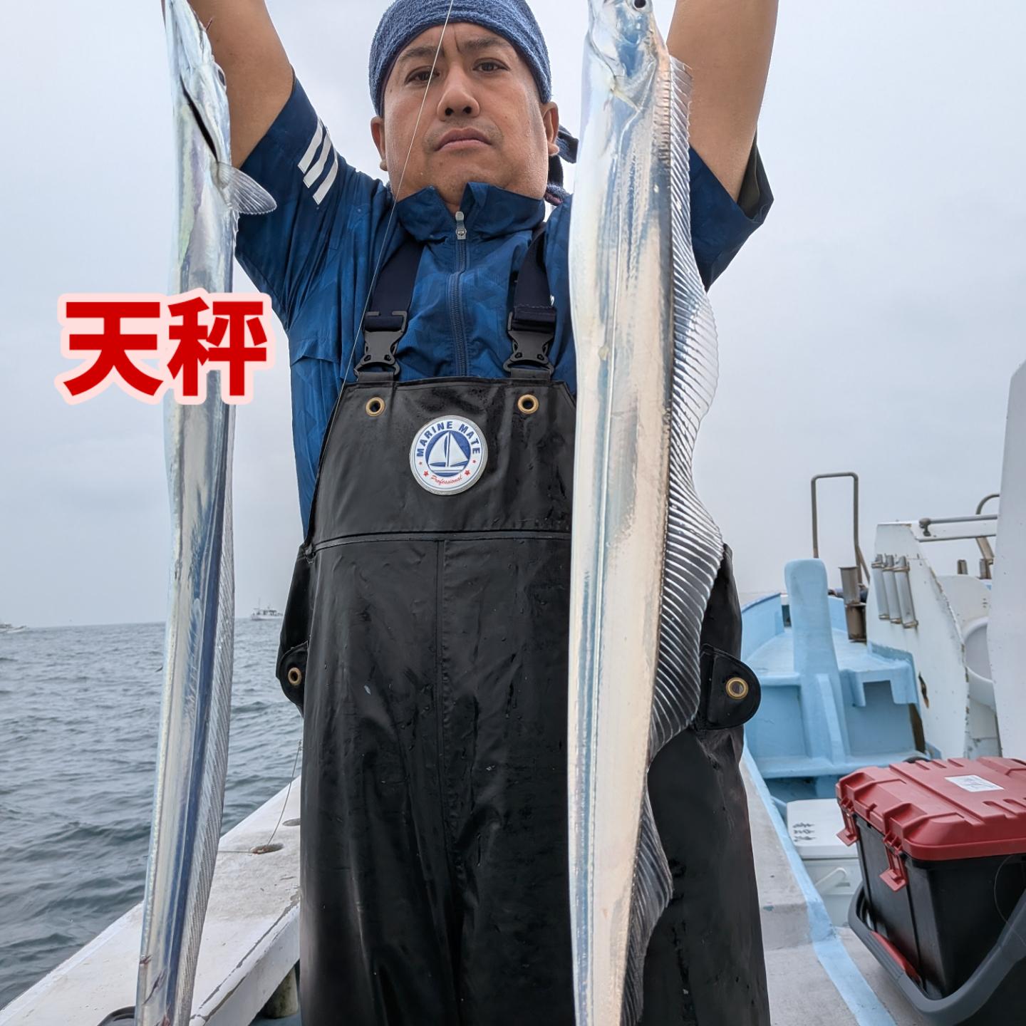 本日もデカタチ