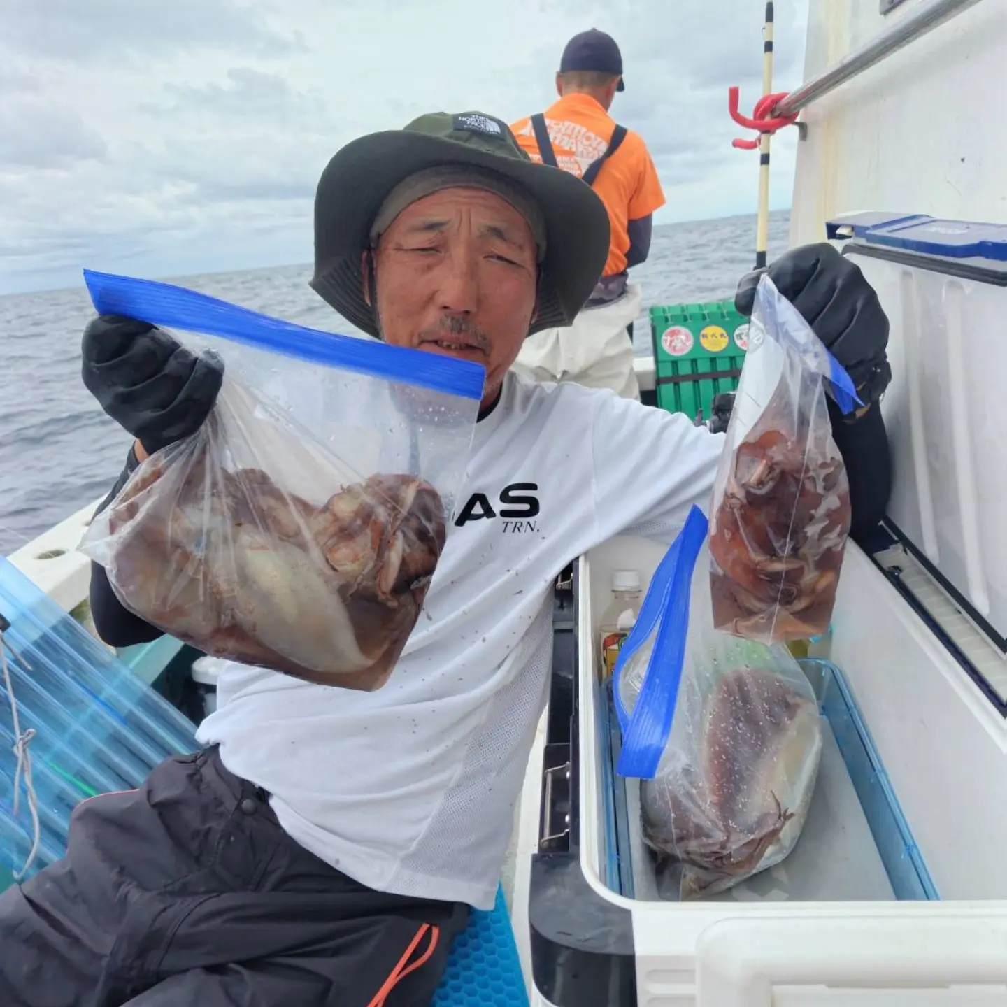 スルメイカ釣り