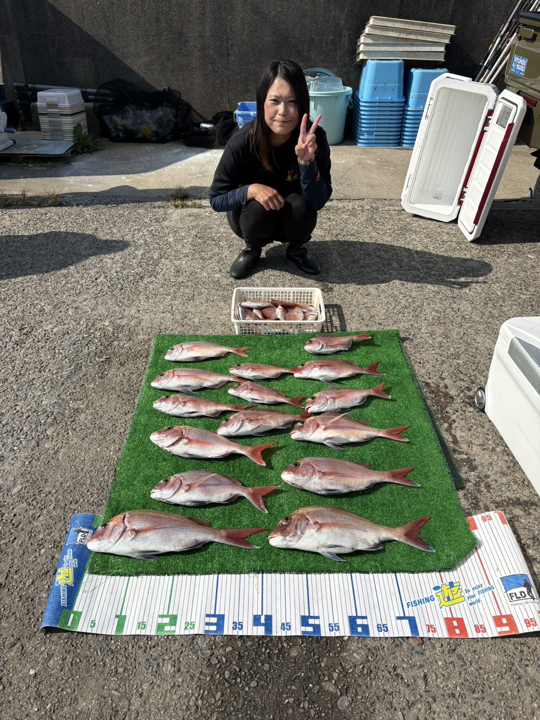 マダイ、カンパチ、いいサイズ