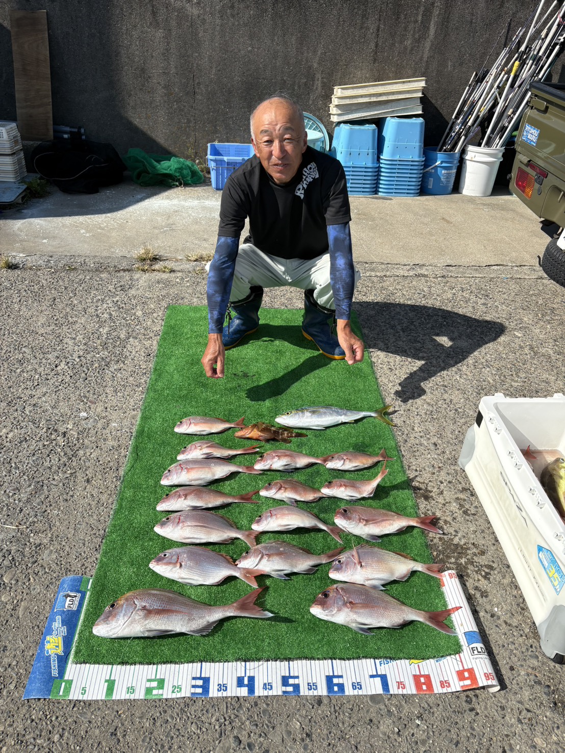 マダイ大漁
