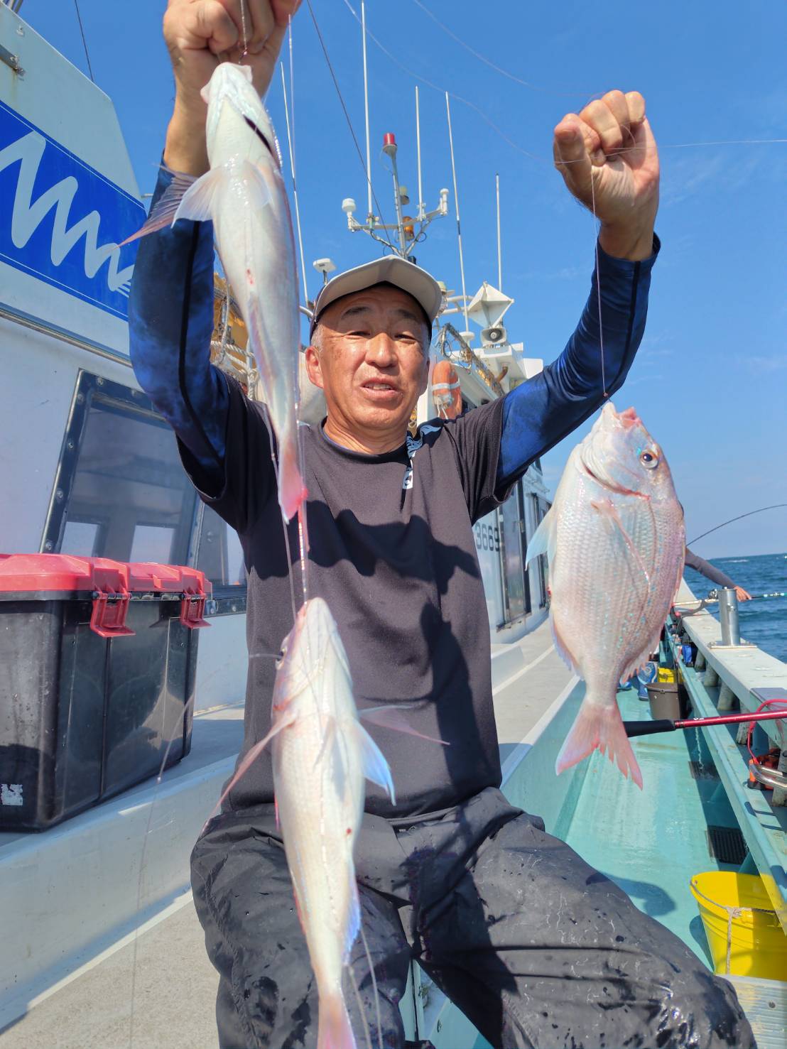 マダイ大漁