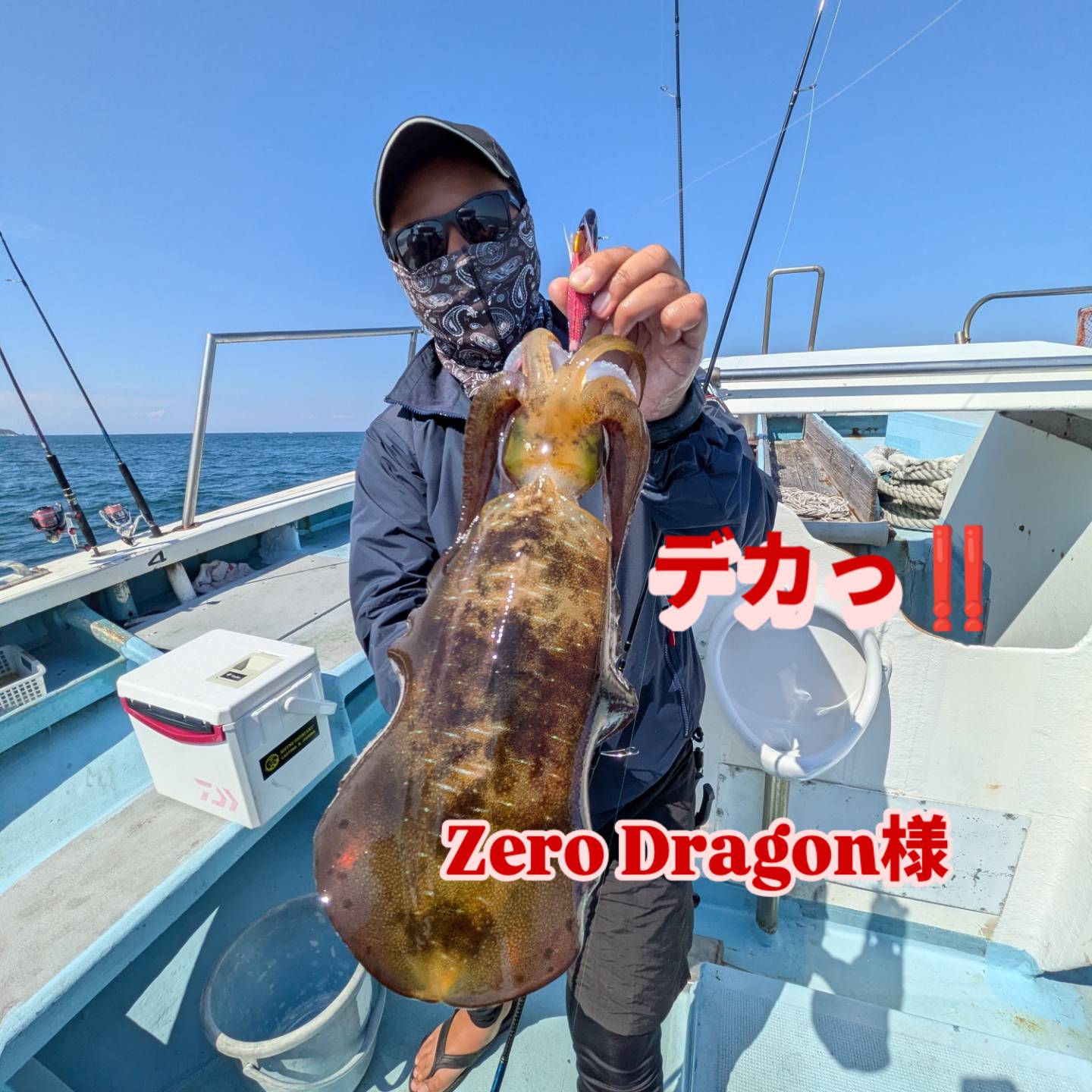 デカアオリイカ