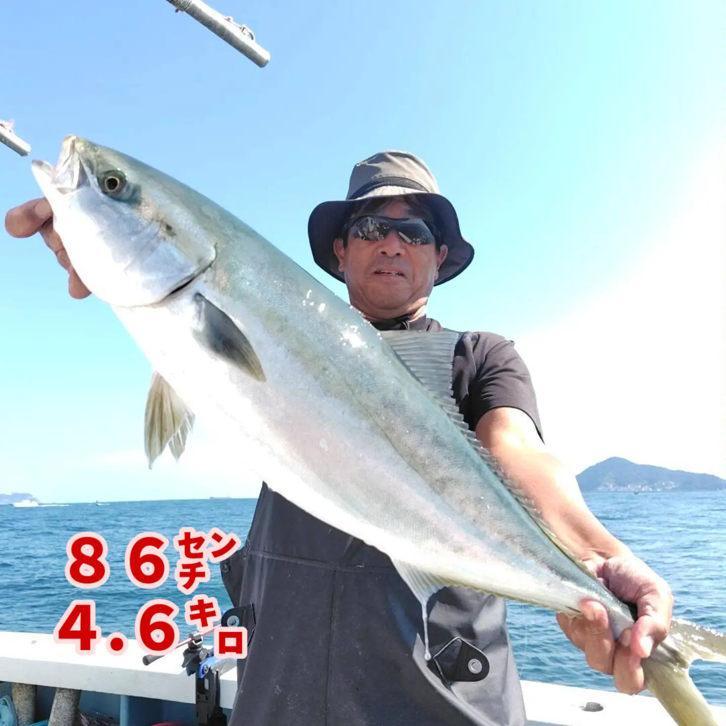 マダイ大漁