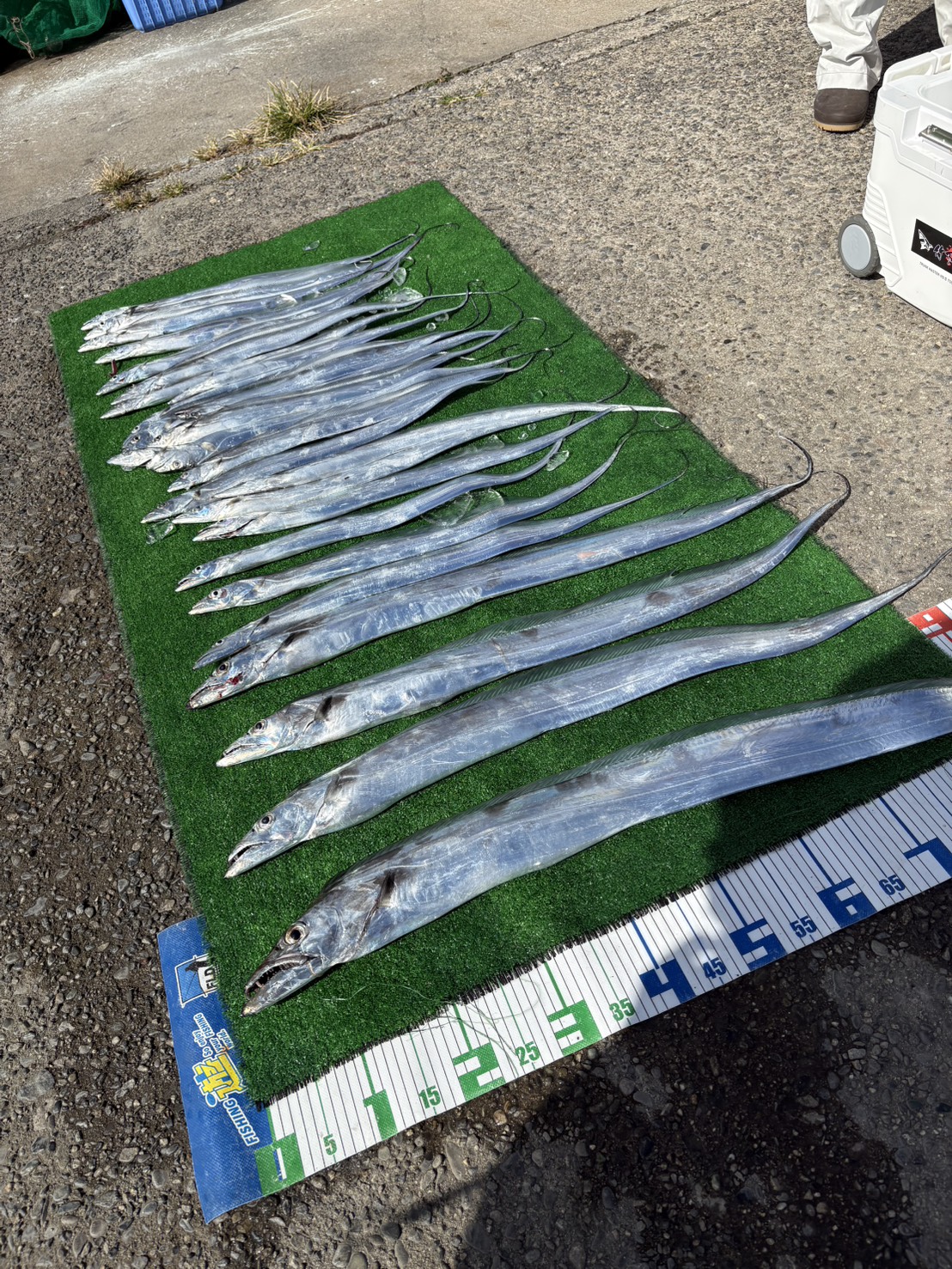 爆釣