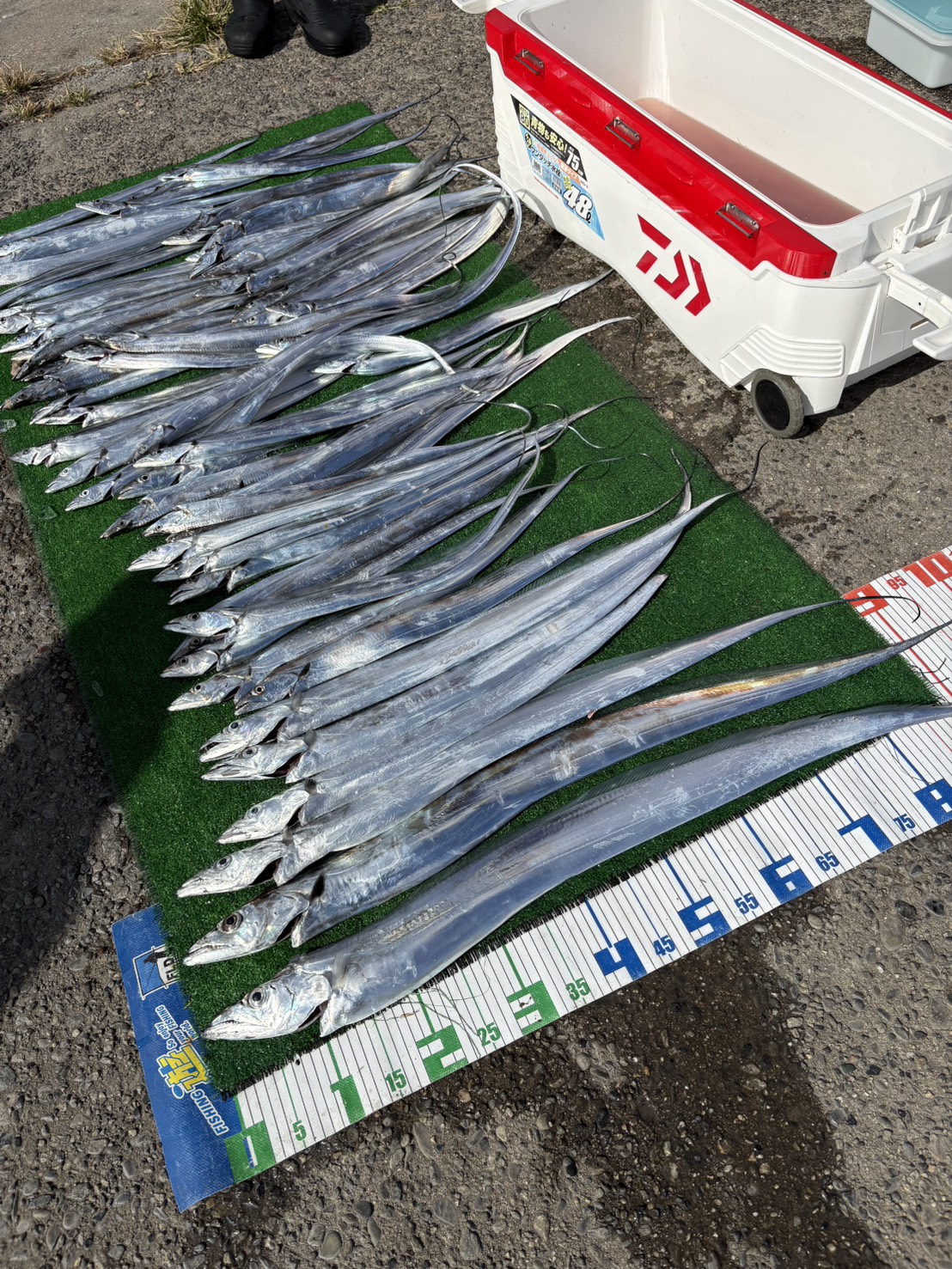 爆釣