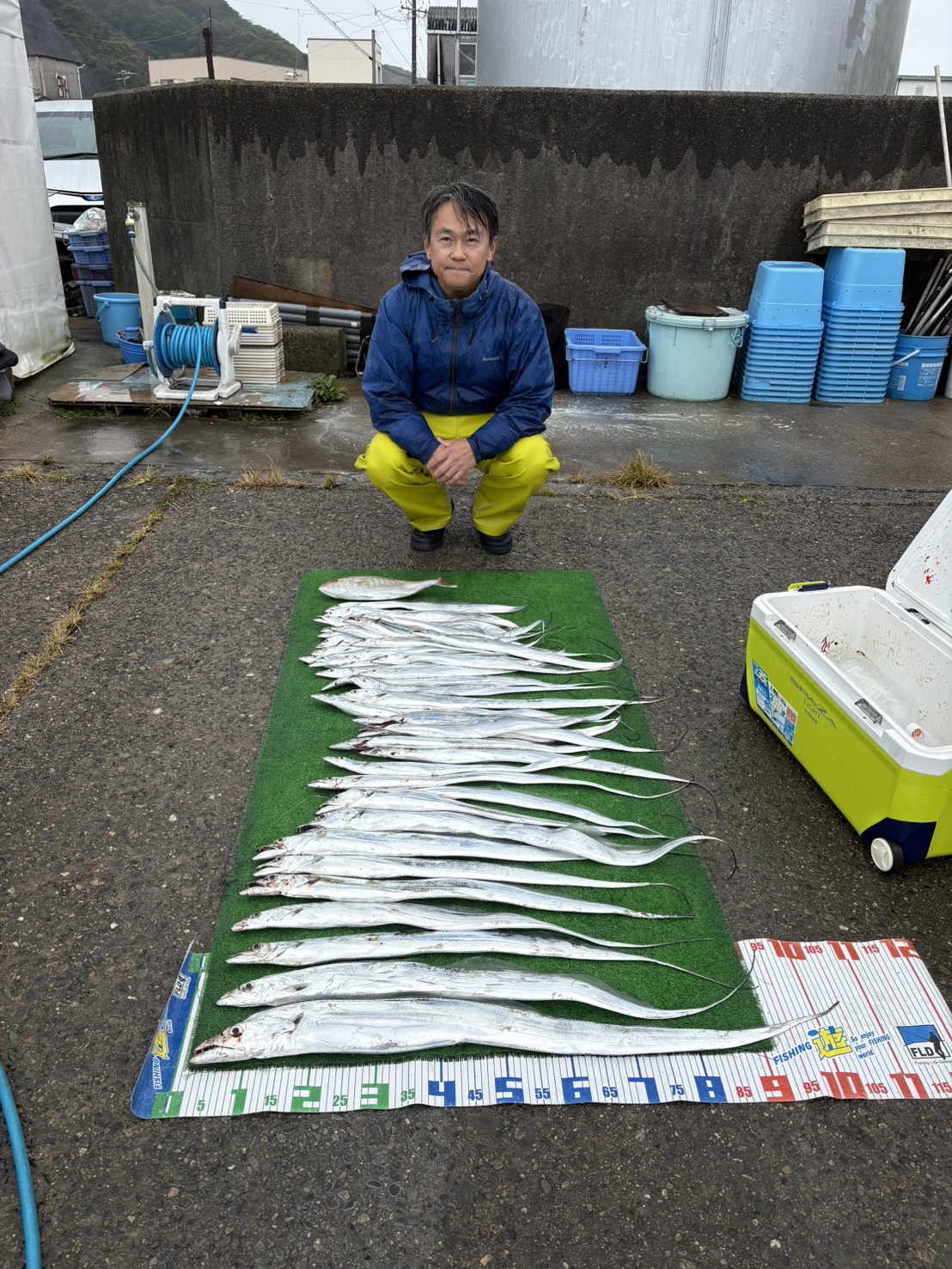 大型好調